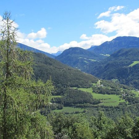 Appartamento Bio Kraeuterhof Oberpalwitter Barbiano  Esterno foto
