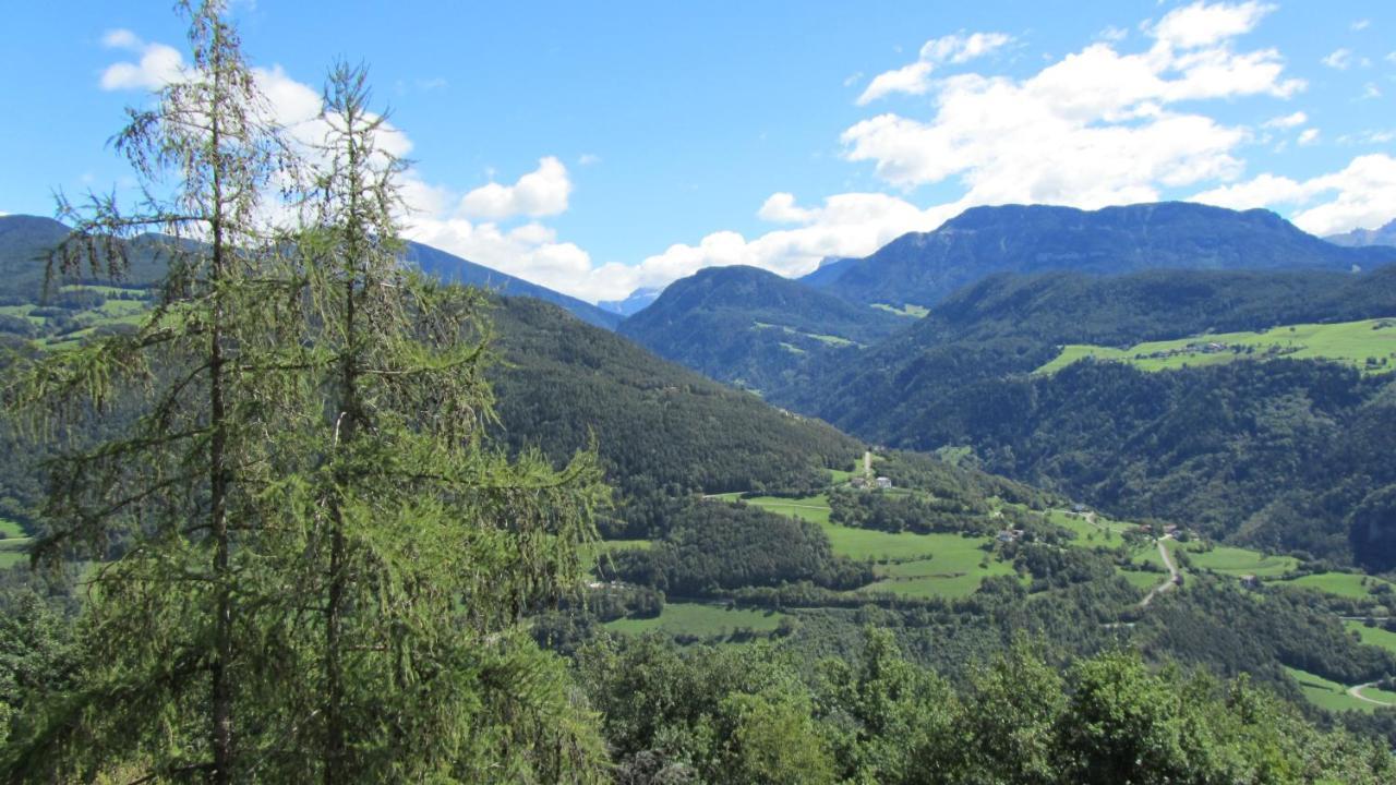 Appartamento Bio Kraeuterhof Oberpalwitter Barbiano  Esterno foto